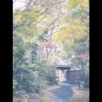 旅籠 かやうさぎの写真・動画_image_312213