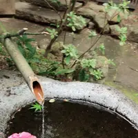 旅籠 かやうさぎの写真・動画_image_312215