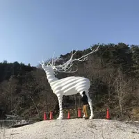 白い鹿のオブジェの写真・動画_image_312229