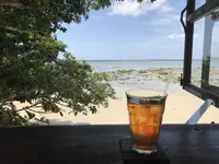 浜辺の茶屋の写真・動画_image_312420