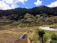 恵那市坂折棚田保存会の写真・動画_image_312508