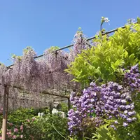 曼陀羅寺公園の写真・動画_image_312531