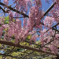 曼陀羅寺公園の写真・動画_image_312532