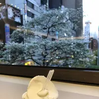 リビスコ銀座店の写真・動画_image_312551