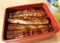 うなぎ亭 友栄の写真・動画_image_312653
