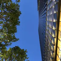 Buvette（ブヴェット）の写真・動画_image_312902