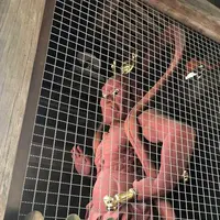 岩殿山 安楽寺の写真・動画_image_314536