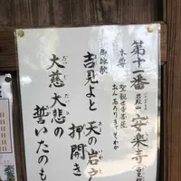 岩殿山 安楽寺の写真・動画_image_314545