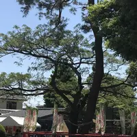 箭弓稲荷神社の写真・動画_image_314563