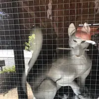 箭弓稲荷神社の写真・動画_image_314564