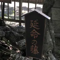 箭弓稲荷神社の写真・動画_image_314572