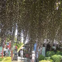 箭弓稲荷神社の写真・動画_image_314589