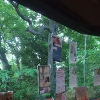 ライブラリーカフェ 然々の写真・動画_image_314703