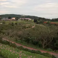マザー牧場 山の上ゲートの写真・動画_image_314719
