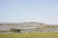 国営ひたち海浜公園の写真・動画_image_314860