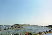 国営ひたち海浜公園の写真・動画_image_315059