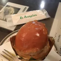 【閉業】アンヂェラスの写真・動画_image_315107