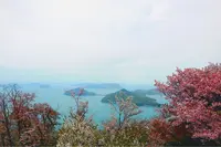 紫雲出山の写真・動画_image_315385