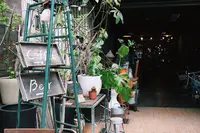 SOWGENの写真・動画_image_315492