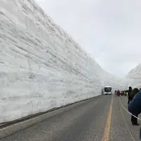 雪の大谷の写真・動画_image_315783