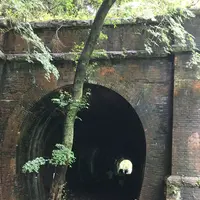 愛岐トンネル群の写真・動画_image_316417