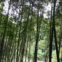 愛岐トンネル群の写真・動画_image_316430