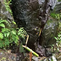 愛岐トンネル群の写真・動画_image_316432