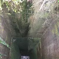 愛岐トンネル群の写真・動画_image_316434