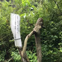 愛岐トンネル群の写真・動画_image_316435