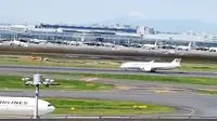 第1ターミナル 展望デッキの写真・動画_image_316695