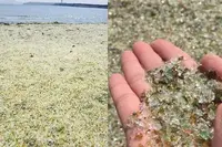 森園公園の写真・動画_image_316893