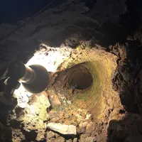 山中湖花の都公園の写真・動画_image_317148