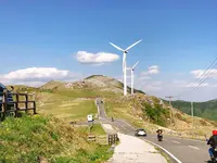 四国カルストの写真・動画_image_317296
