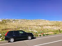 四国カルストの写真・動画_image_317329