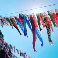 高田橋の写真・動画_image_317390