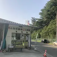 大野屋の写真・動画_image_317441