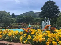 箱根強羅公園の写真・動画_image_317615