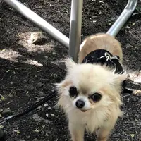 しげの屋の写真・動画_image_318247