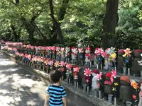 増上寺の写真・動画_image_318290