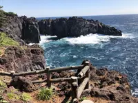 伊豆稲取産金目鯛と源泉かけ流しの宿。旅館はまべ荘の写真・動画_image_318329