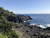 伊豆稲取産金目鯛と源泉かけ流しの宿。旅館はまべ荘の写真・動画_image_318334