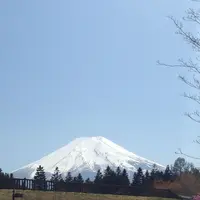 トーマスランドの写真・動画_image_318449