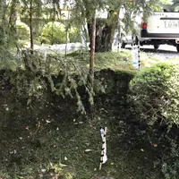 熊野古道大門坂の写真・動画_image_318525