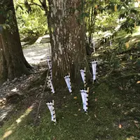 熊野古道大門坂の写真・動画_image_318534