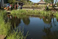 忍野八海の写真・動画_image_318543