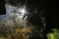 忍野八海の写真・動画_image_318544