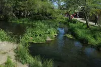 忍野八海の写真・動画_image_318550