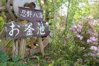 忍野八海の写真・動画_image_318552