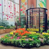 チューリップ四季彩館の写真・動画_image_318574