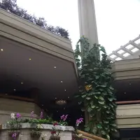 ハイアットリージェンシーワイキキビ-チ リゾート&スパの写真・動画_image_318615